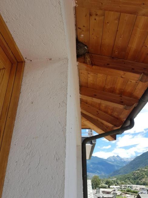Casa Chanoux Chambave Zewnętrze zdjęcie